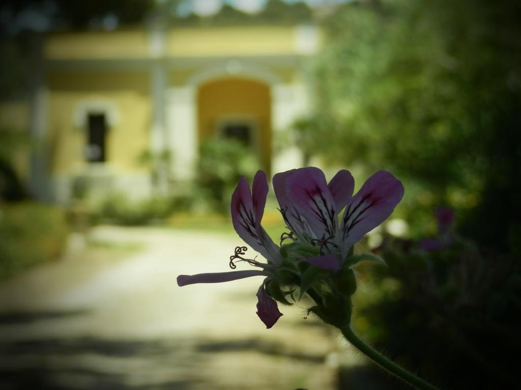 מלון גאליפולי Dimora Relais Excelsa מראה חיצוני תמונה